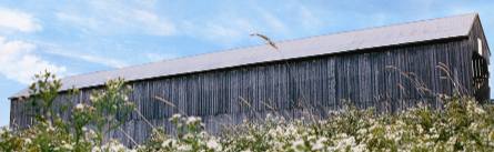 A barn with a sky background and flowers
