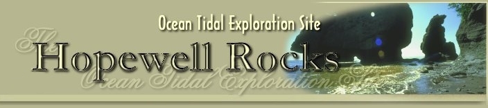 A banner with the words " tidal exploration " written in front of it.