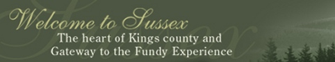 A green banner with the words sussex kings county fundy experts written in white.