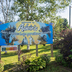 A sign that says welcome to adair 's.