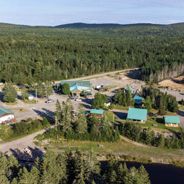 A view of a forest from above shows the trees and buildings.