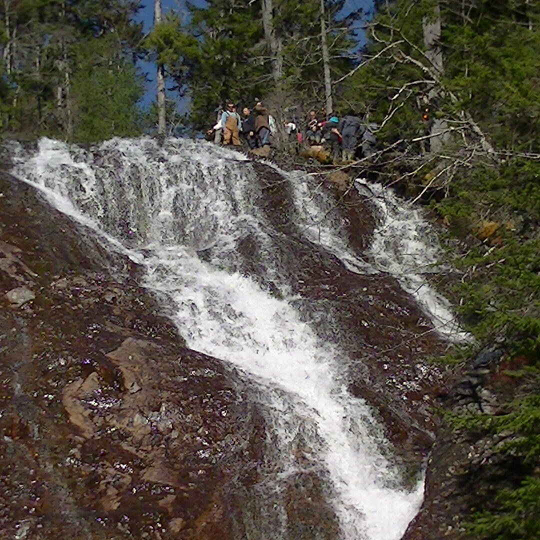 A waterfall with trees in the background